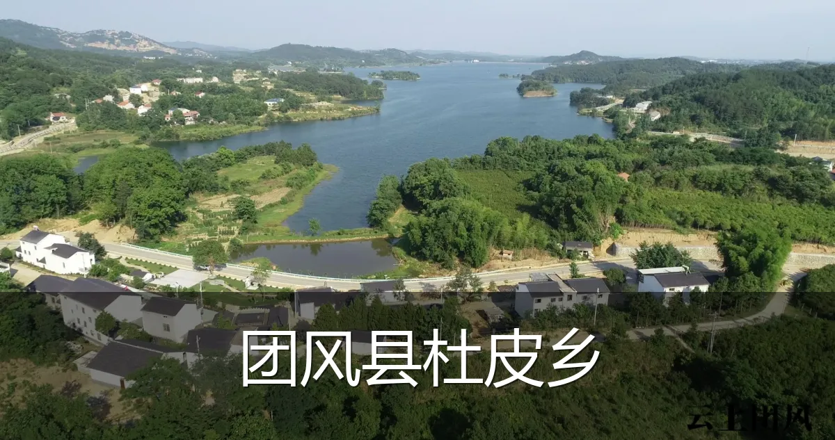 团风县杜皮乡